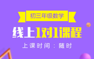 初三年級(jí)數(shù)學(xué)線上1對(duì)1課程