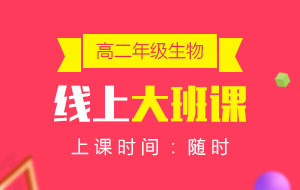 高二年級(jí)生物線上10人大班課