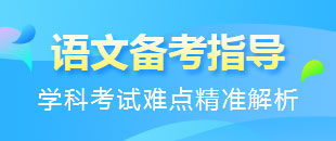初中九年級(jí)語(yǔ)文下冊(cè)練習(xí)大匯總